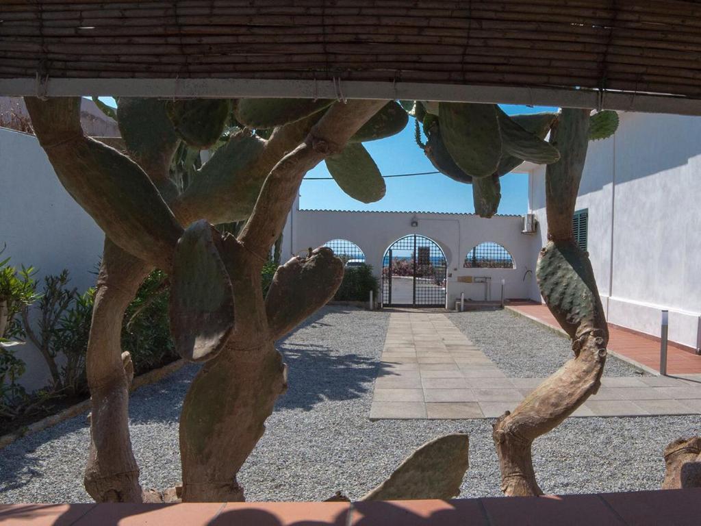 uma escultura de uma planta em frente a um edifício em La Casa Del Tono em Milazzo