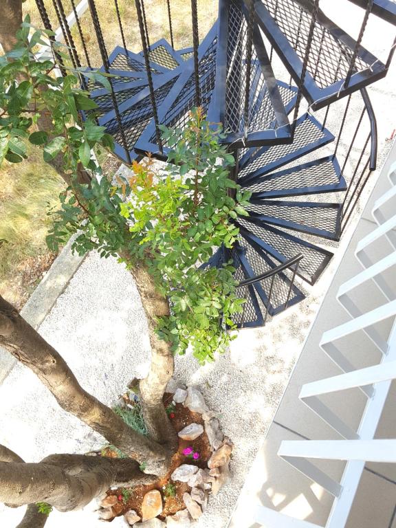 Balkón nebo terasa v ubytování Apartments Merion
