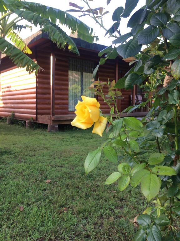 Zahrada ubytování Cirali Armira Bungalow