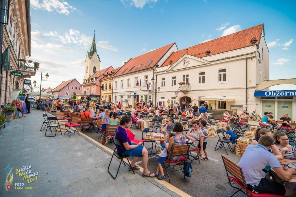 Hosté ubytování Hotel Cateski Dvorec