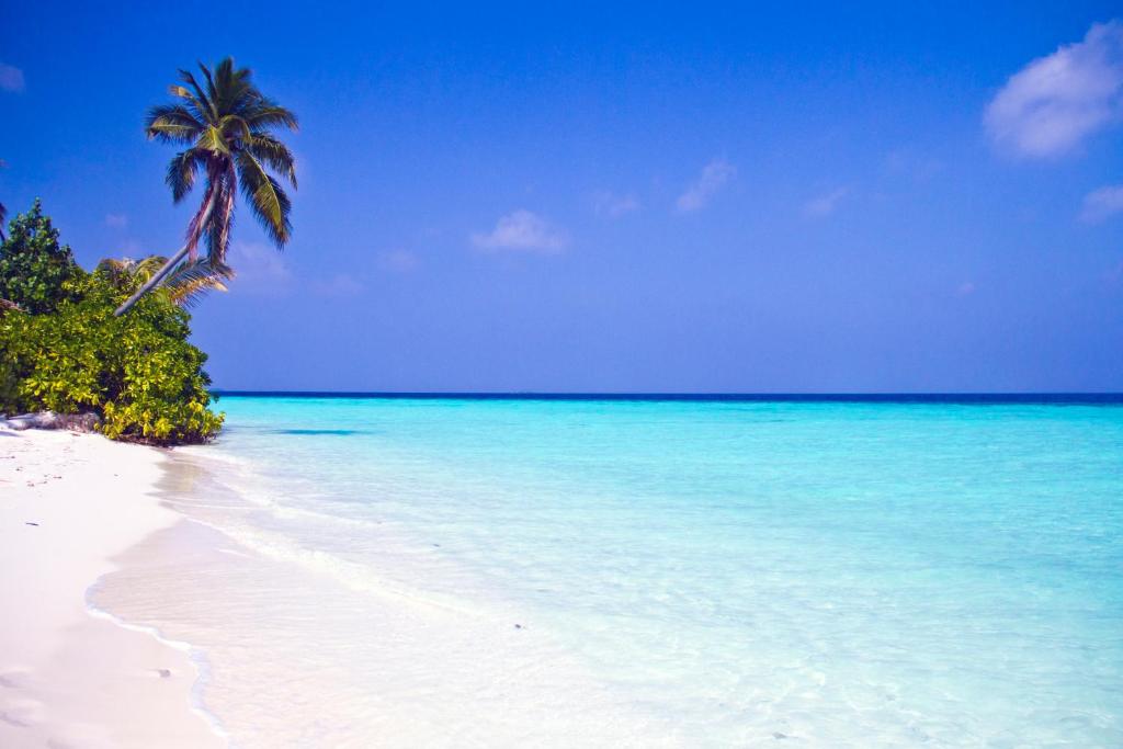 Safari Island Resort & Spa Maldives - View 34