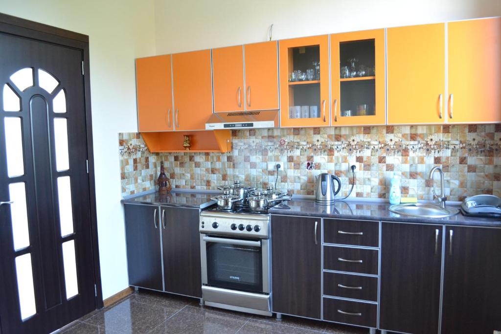 Kuchyň nebo kuchyňský kout v ubytování Shalva Apartment
