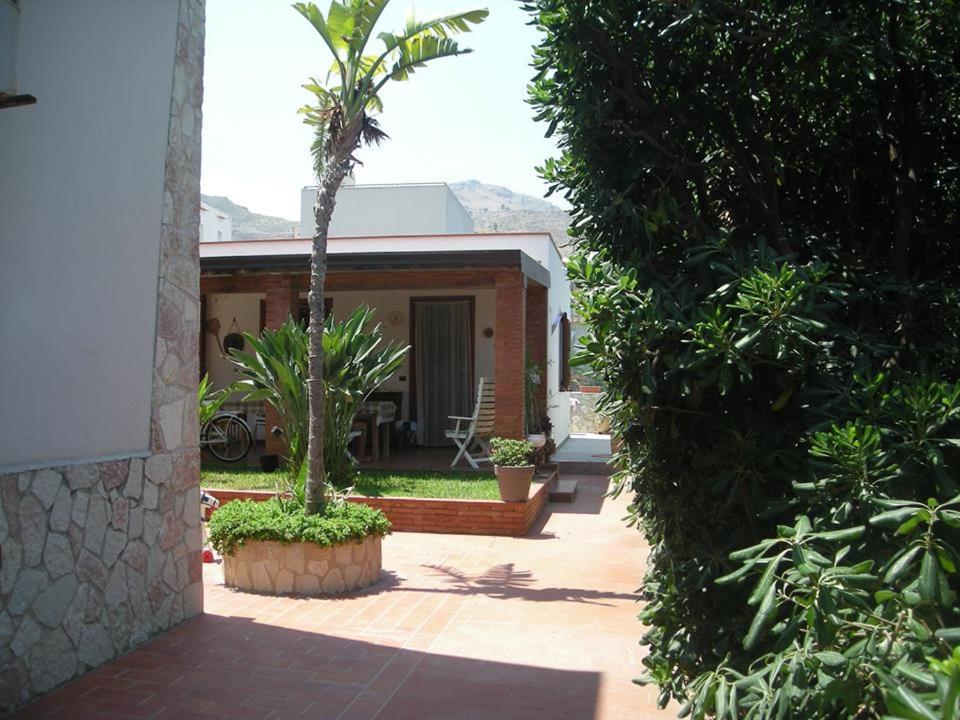 VillagraziaにあるLa Casa Difronteの中庭のヤシの木のある家