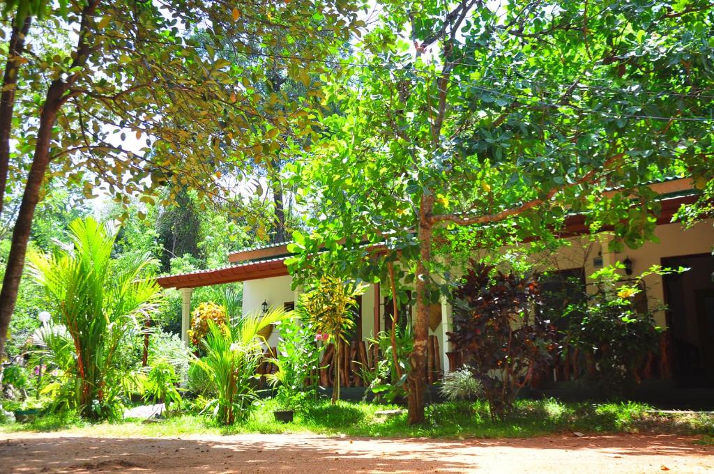 Zahrada ubytování Sigiri Rock Side Home Stay