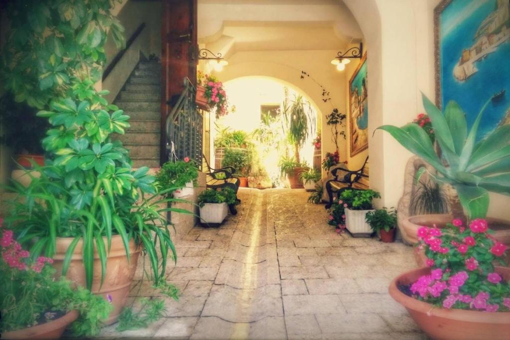 un couloir plein de plantes et de fleurs dans l'établissement Locanda Scirocco, à Castellammare del Golfo