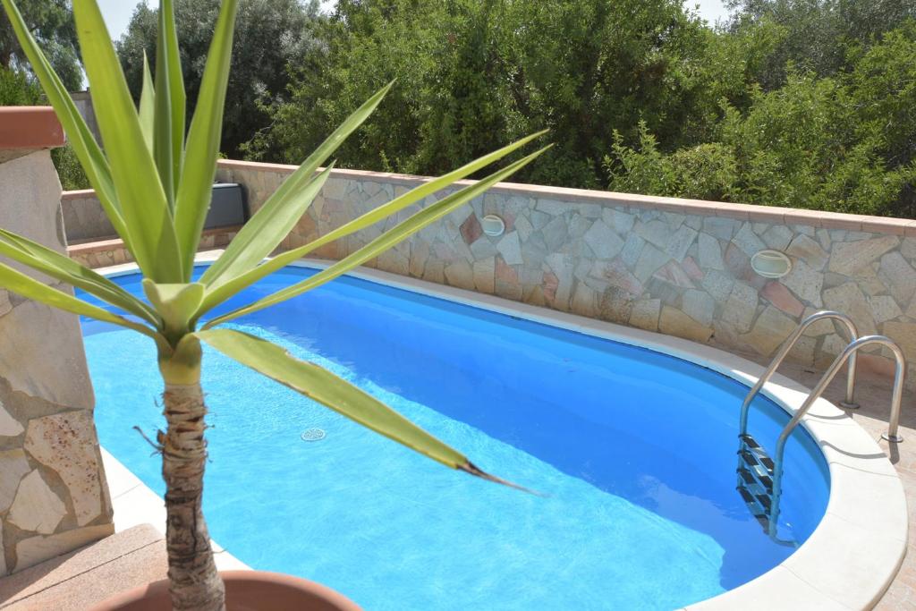 een palmboom in een pot naast een zwembad bij Villa Lumari in Siracusa