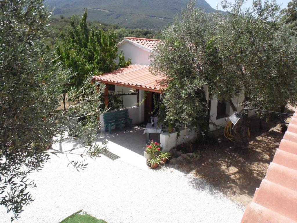 a house with a view of a yard with trees at Villa L'Oliveto in Oliena