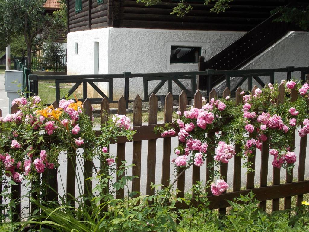 Zahrada ubytování Apartment Matogi