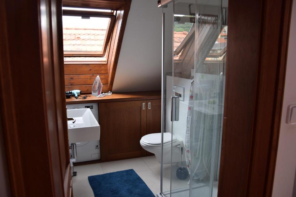 Koupelna v ubytování Apartman Mala Strana -Piece and quiet