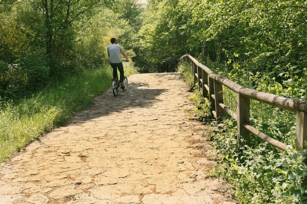 Galpon Boutique Aldea De Abaixo - 16