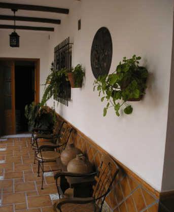 a row of chairs lined up against a wall with plants at El Perro de Paterna in Paterna de Rivera