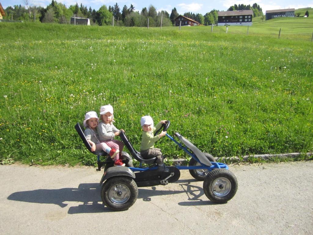 Hosté ubytování Bauernhof Bilgeri