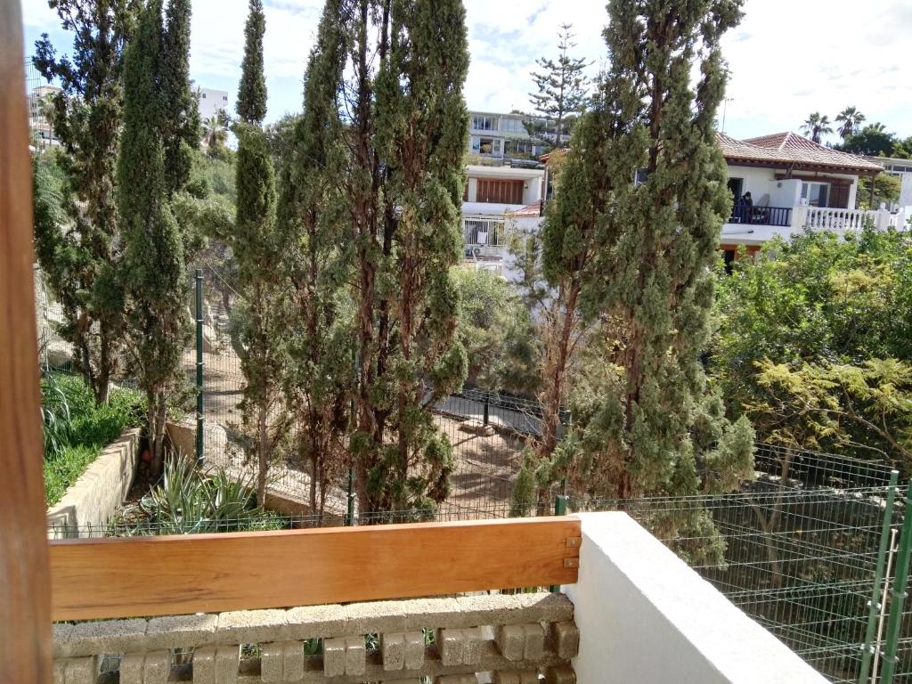 a wooden bench in front of some trees at Americas Heart ! in Arona