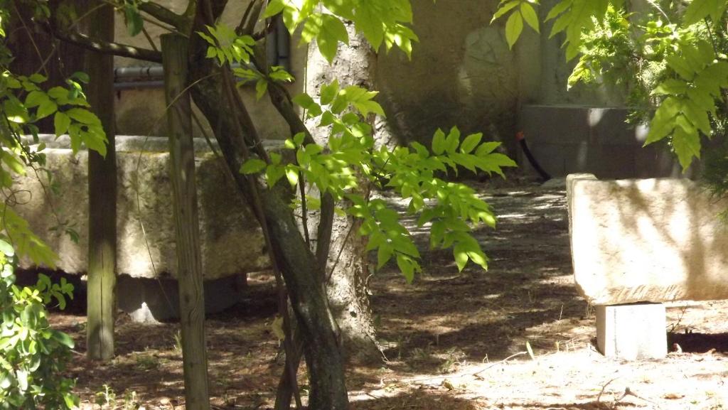 Zahrada ubytování La Bastide