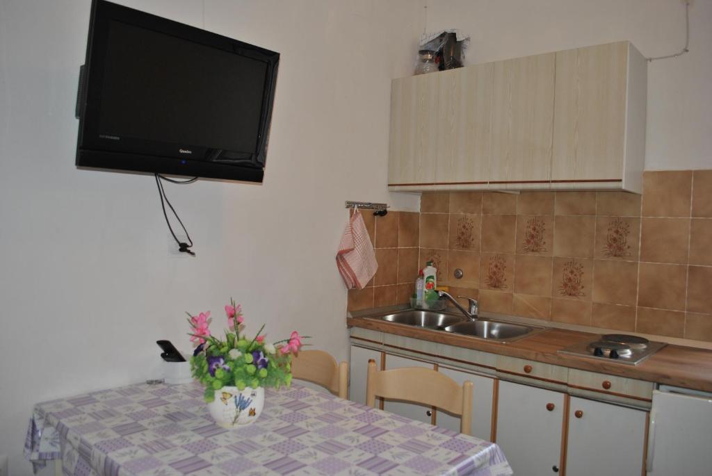 Kuchyň nebo kuchyňský kout v ubytování Apartmani Dalmadino