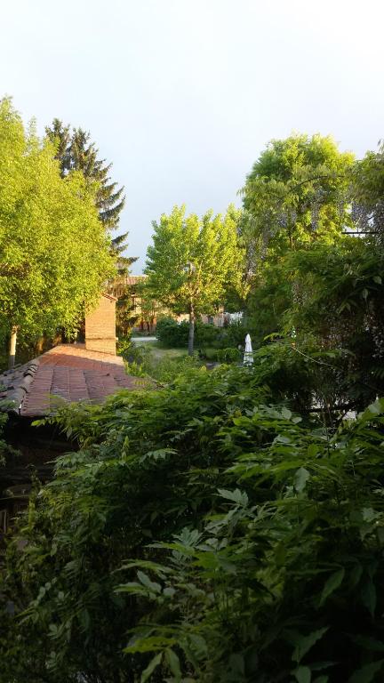 Zahrada ubytování Agriturismo Olivazzi