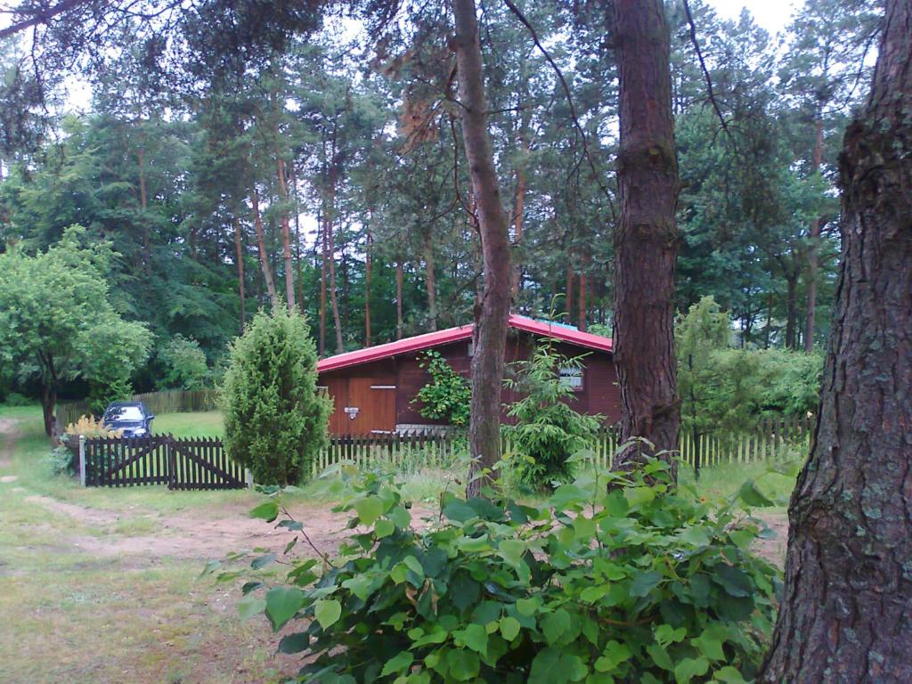 a red cabin in the middle of a forest at dom letni in Stare Jabłonki