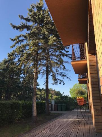 Vila Medus - Double Or Twin Room