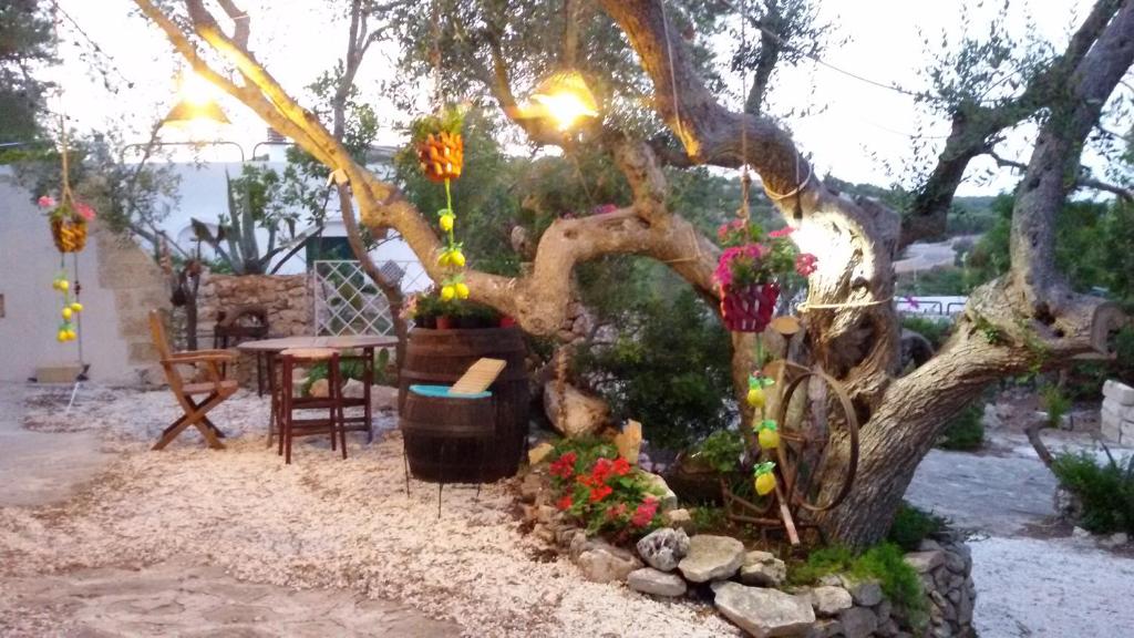 Vonkajšia záhrada v ubytovaní Limonaia in Salento