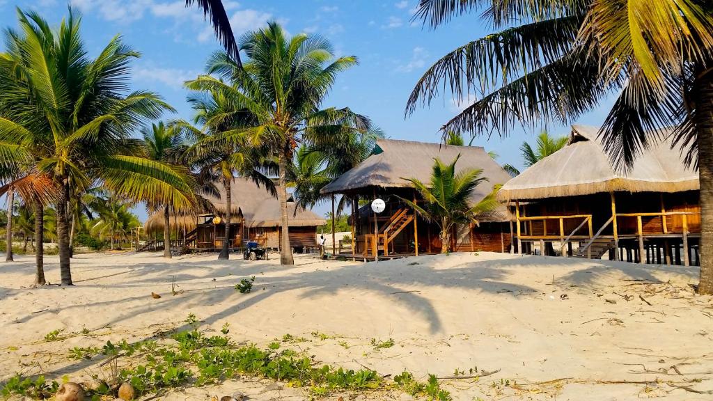 a resort on the beach with palm trees at Pura Vida Lodge in Morrumbene