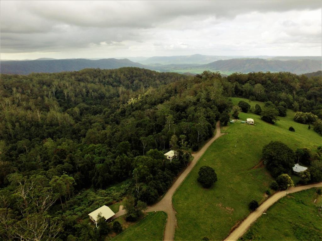 an aerial view of a green field with trees at Bellthorpe Stays in Maleny