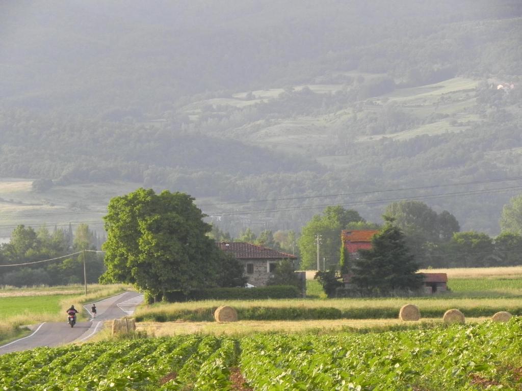 a person riding a motorcycle down a road next to a field at Agriturismo Poderi Minori in Bibbiena