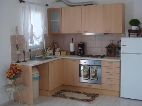 Kuchyň nebo kuchyňský kout v ubytování Eleni's Village Suites