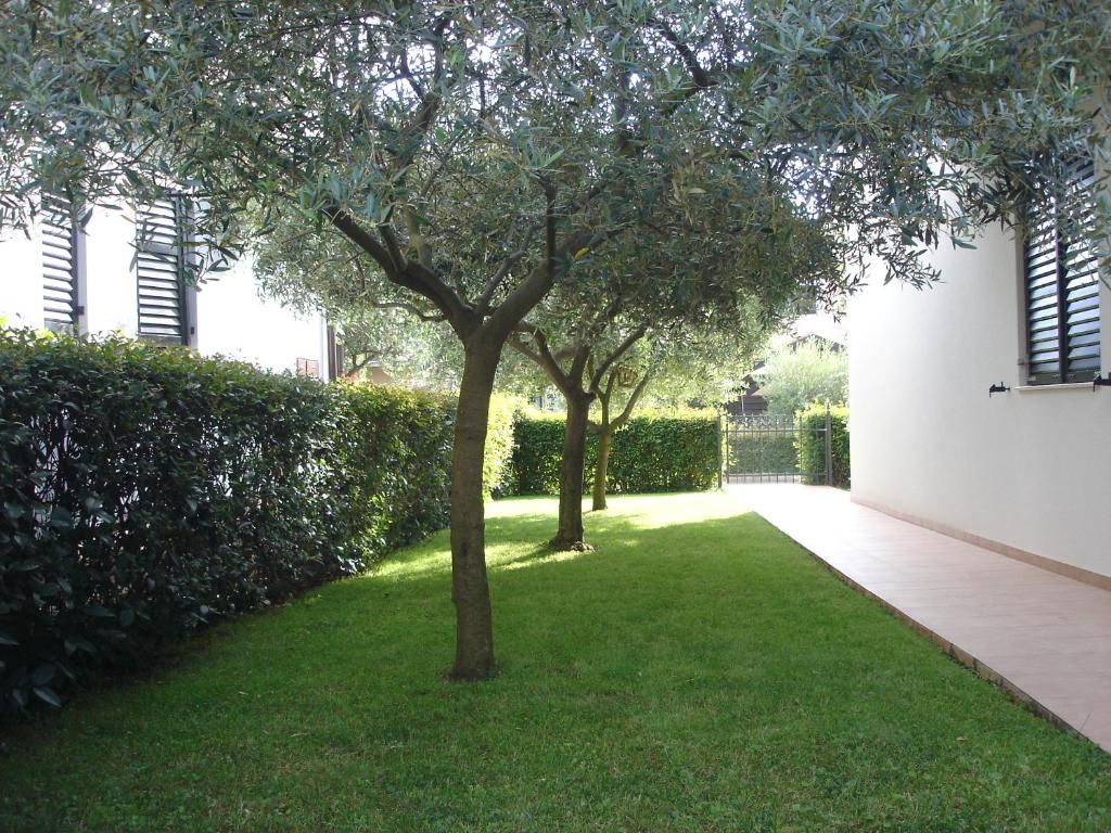 due alberi in un cortile accanto a un edificio di Apartman Klimic a Umag (Umago)