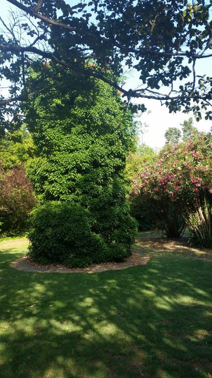 Giardino di Le Mas d'Icard