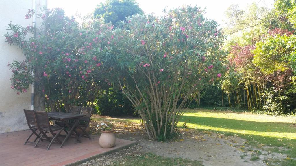 a garden with two chairs and a table and a bush with pink flowers at Le Mas d'Icard in Saintes-Maries-de-la-Mer