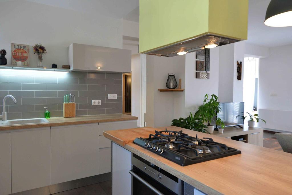 Kuchyňa alebo kuchynka v ubytovaní EnVi Apartments
