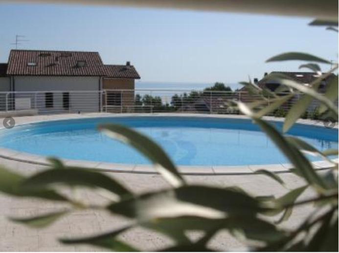 una planta frente a una gran piscina en Residence Horisontis, en Pineto