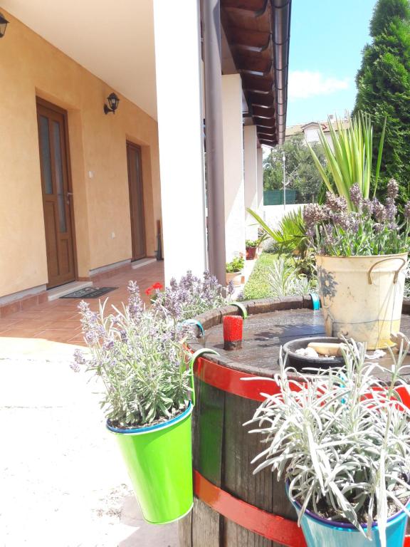 Zahrada ubytování Vacation Home Licinius