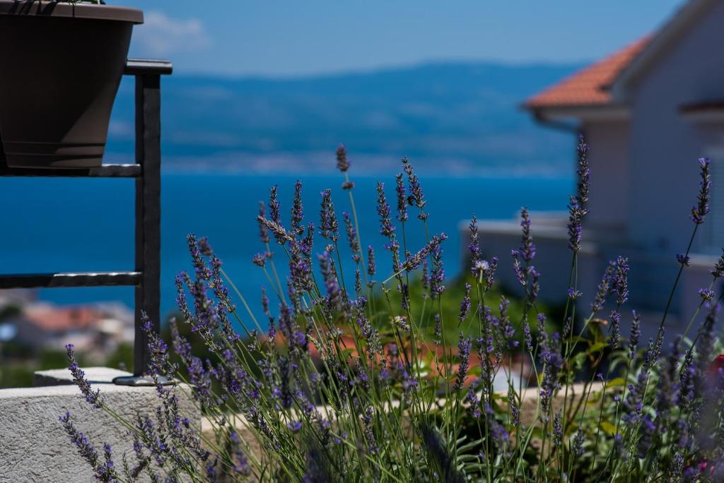 a garden with purple flowers and the ocean in the background at Apartment Andrija in Vrbnik