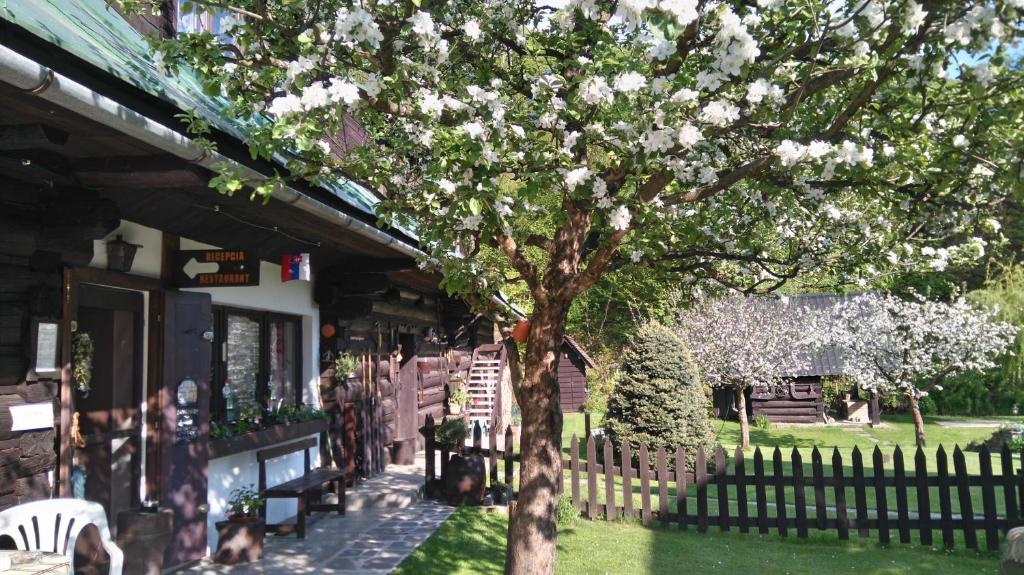 a tree in front of a house with white flowers at Penzión Encián in Mýto pod Ďumbierom