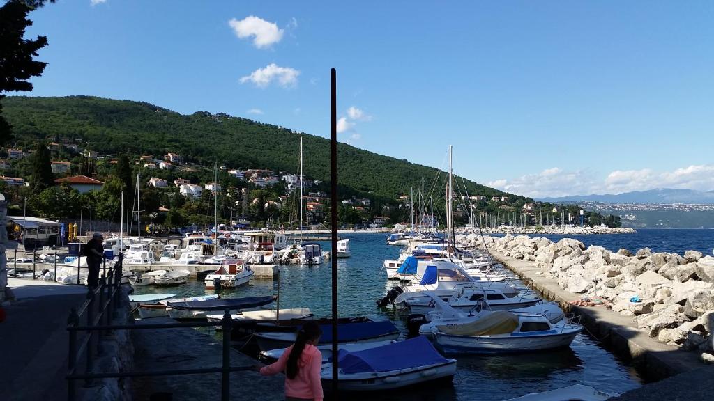 Fotografia z galérie ubytovania Apartments Jovic Opatija v destinácii Ičići
