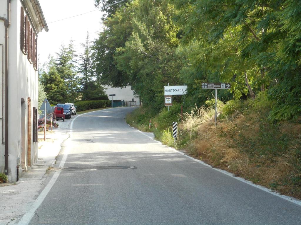 Okolica w pobliżu tego obiektu B&B