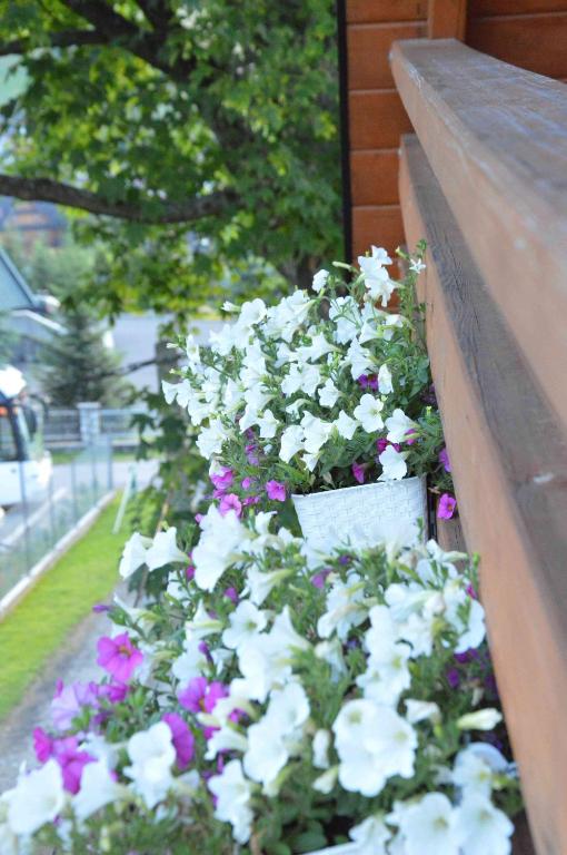 Vonkajšia záhrada v ubytovaní Apartamenty "Maryna House" Zakopane