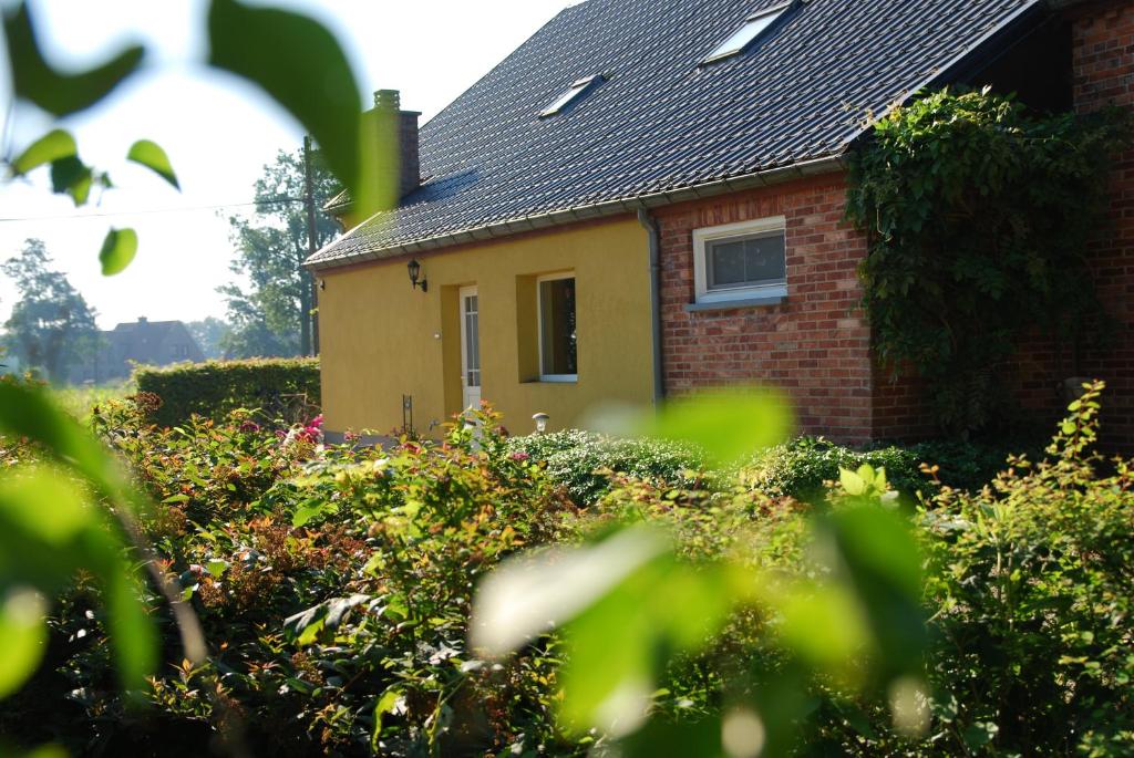 Zahrada ubytování B&B Het Uilennest