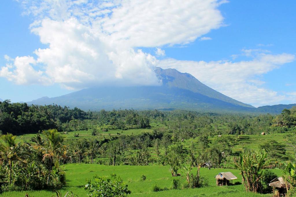 a mountain in the middle of a field with trees at Maha Neka Villa in Sidemen