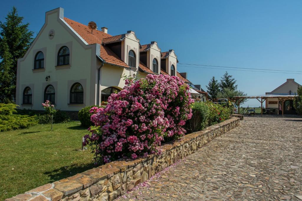 Photo from Garden Vendégház Makó in  Makó, Csongrád, Hungary