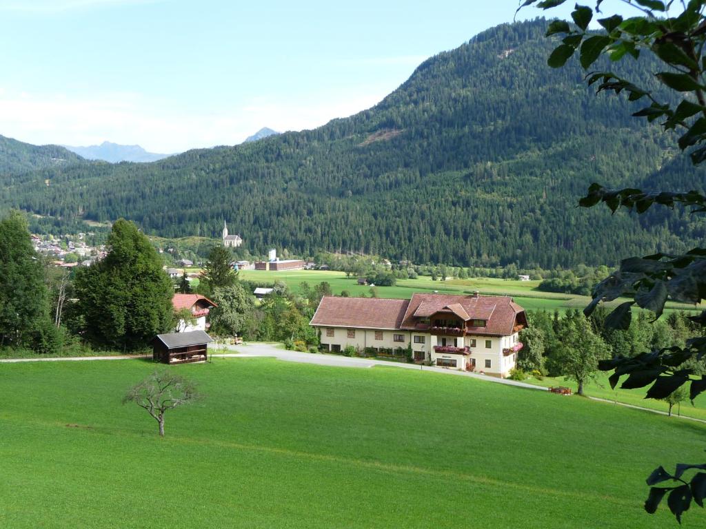ヴァイスブリアッハにあるFerienhaus Enziの山を背景にした緑地の家