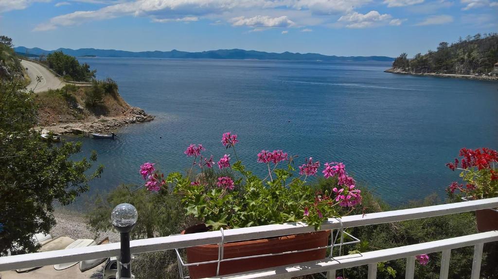 Blick auf einen Wasserkörper mit einer Bank und Blumen in der Unterkunft Apartmani Kunjasic in Trstenik