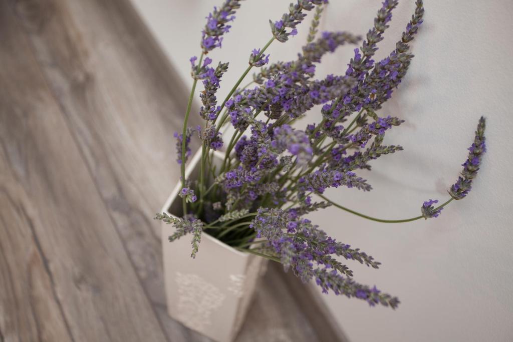 Apartments and Rooms Hey Rovinj - 4