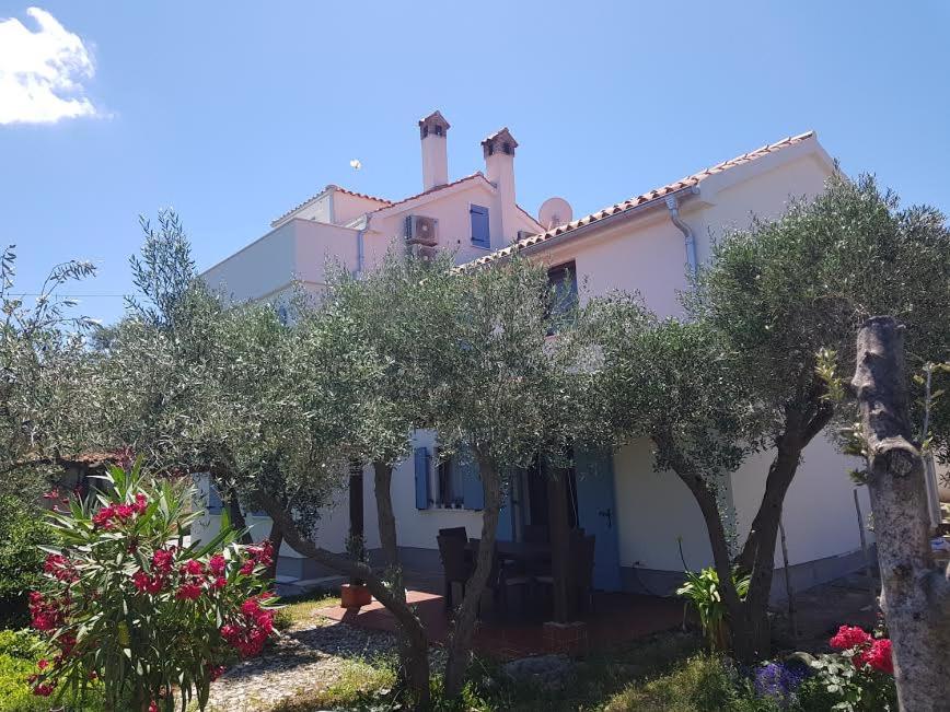 a house with olive trees in front of it at Sea-esta 1 in Valun