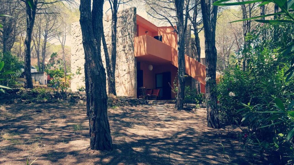 サンタ・マルゲリータ・ディ・プーラにあるPinus Village - Da Nonna Luisaの木々の森の中の家