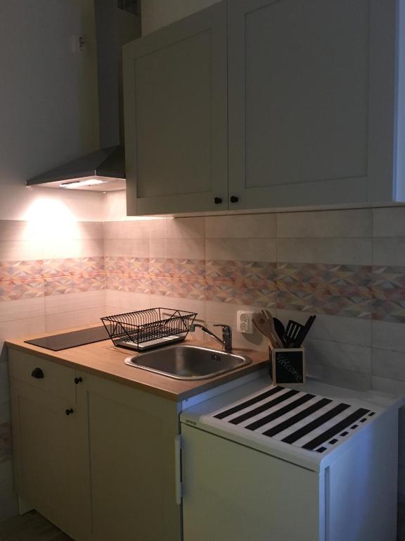Kuchyň nebo kuchyňský kout v ubytování Apartments Tartuga