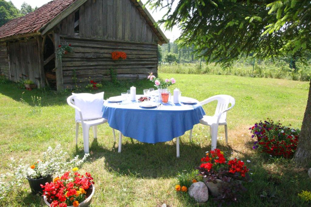 stół, 2 krzesła, stół i szopa w obiekcie Mazurska Sielanka w mieście Snopki