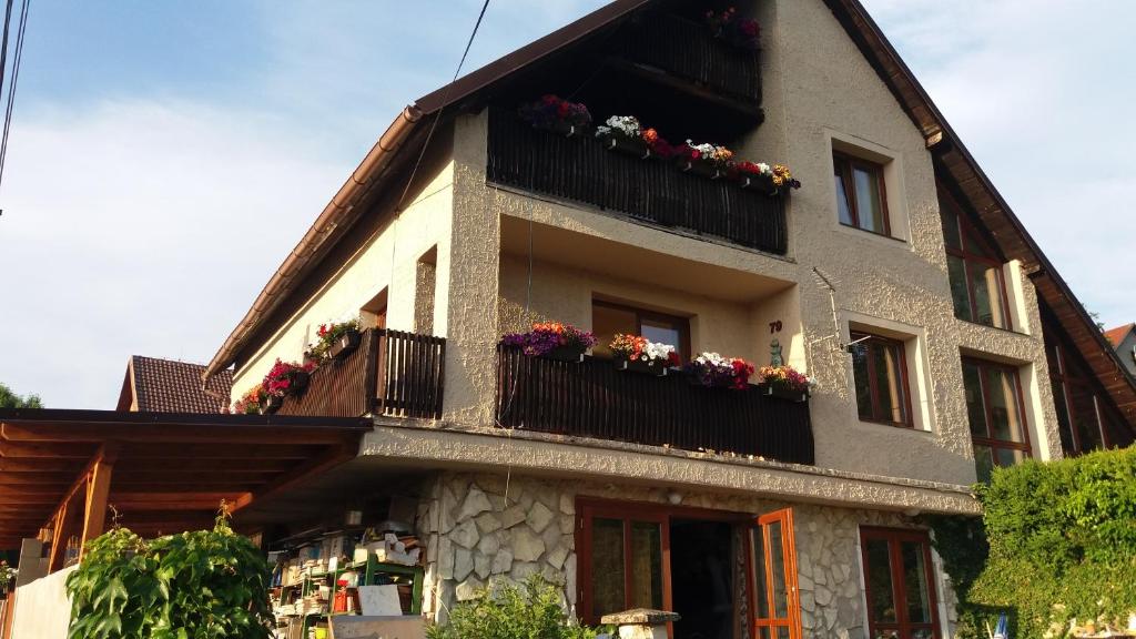 a building with flower boxes on the balconies at Apartments Sharka in Děčín