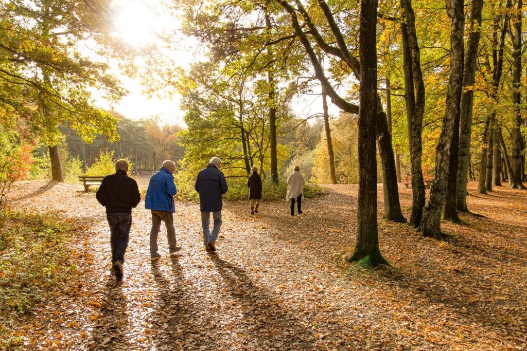 Hosté ubytování Molecaten Park De Leemkule